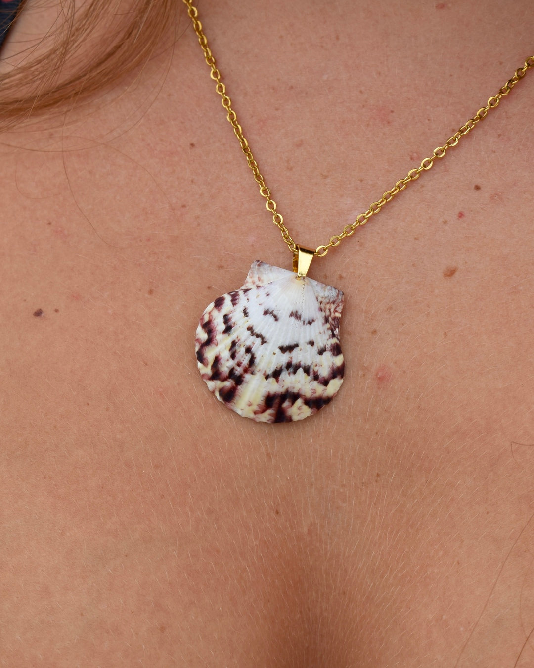 Deep Purple Shores Shell Necklace